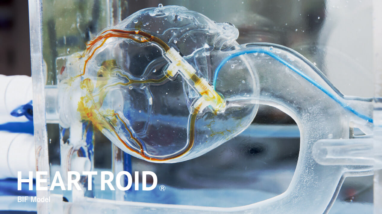 BIFモデル｜HEARTROID｜心臓カテーテルトレーニングシステム