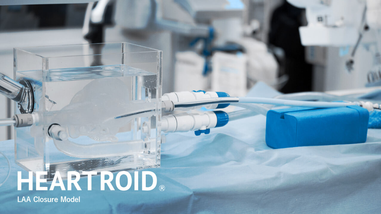 LAA Closureモデル｜HEARTROID｜心臓カテーテルトレーニングシステム