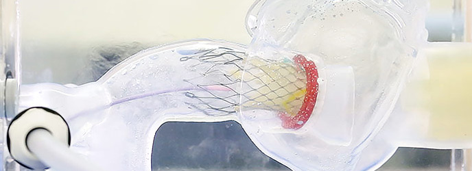 X線透視下でTAVIのトレーニングやカテーテルを通しての冠動脈造影もできるため、ステントバルブの留置位置と冠動脈の位置を確認しながら実際の手技を再現することができます。