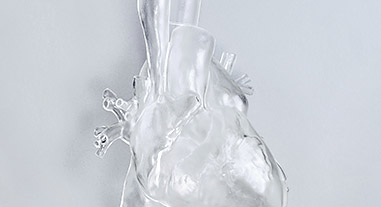 PVI（肺静脈隔離術）モデル